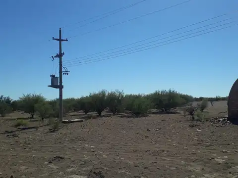 Vendo Campo en Santa Rosa