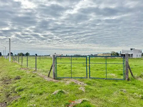 Venta · Lote de 1500m2 · Perímetro total · Las Acacias · Los Pinos 100