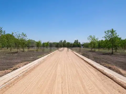 Terreno en Venta de 600,0 m2