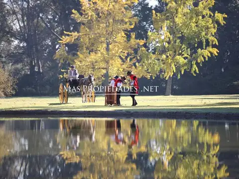 Terreno en Venta 10  mts Fondo