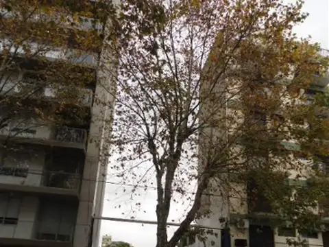 Terreno en Venta 8,66  mts Frente