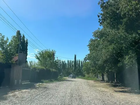 Los teros, Terrada sur. Perdriel.
