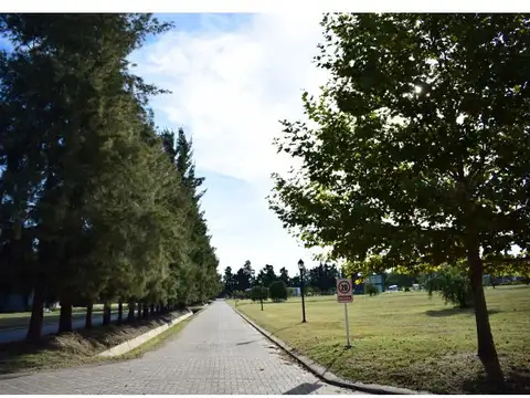 Terreno en Venta 40  mts Fondo
