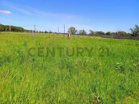 Ruta Provincial 53 10500, Piso 0