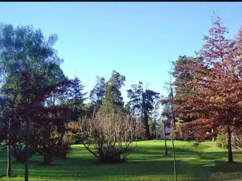 Terreno en Venta en Pilar, USD 75.000