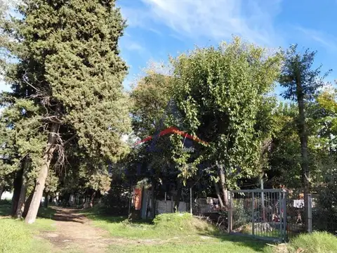 Dardo Rocha & Mozart, B1613 Los Polvorines, Provincia de Buenos Aires, Argentina, Malvinas Argentinas, Buenos Aires, Argentina.