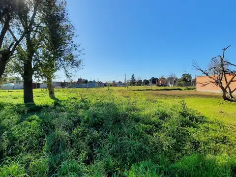 Terreno en Venta de 250,0 m2