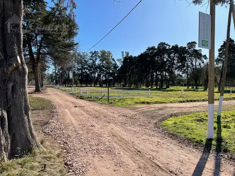 Terreno en Venta de 300,0 m2