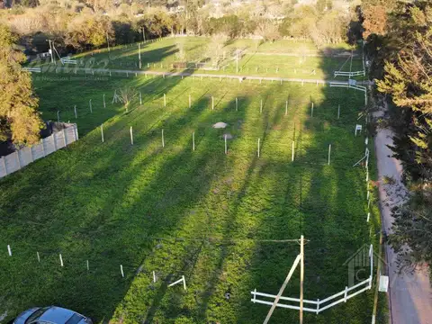 Enrique Larreta al 8300