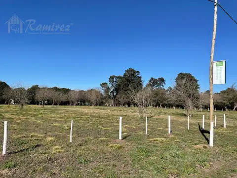Lote Terreno  En Venta 300 m2 - Parques del Morenito, Moreno Norte