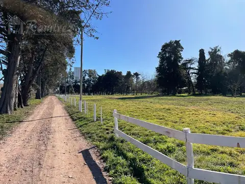 Terreno en Venta de 300,0 m2