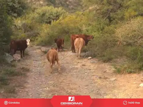 Ruta 51 Chancani Ruta 51