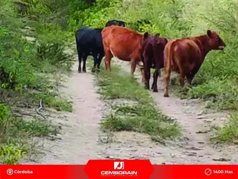 Ruta 51 Chancani Ruta 51