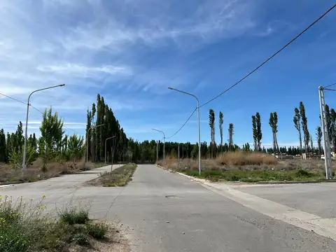 Alberdi 100