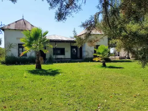 Century 21 vende finca en vista flores, tunuyán, mendoza