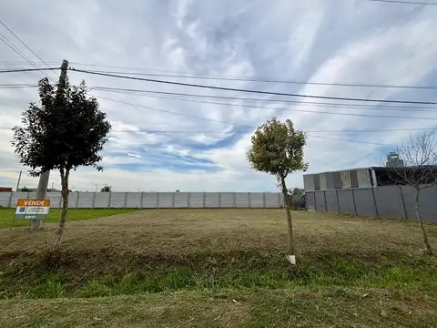 Lote de 250 m2 en Lehmann