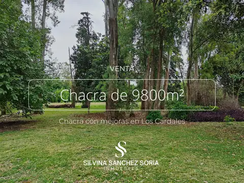 CHACRA DE 9800 M2 CON MEJORAS EN LOS CARDALES