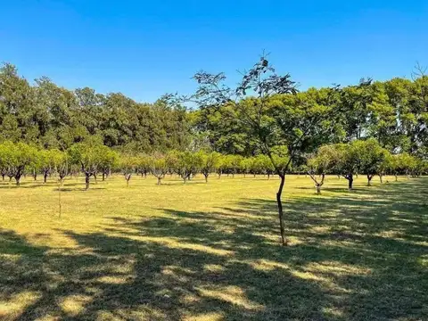 Terreno en  Azhares del Parana - Fighiera