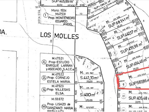 LOTE EX-GOBERNADOR BIELLA