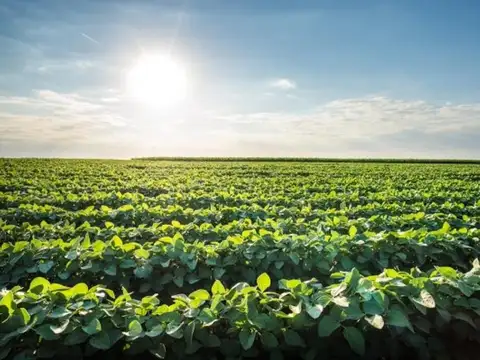 LA BANDA, STGO  DEL ESTERO 4000 HECT OPORT