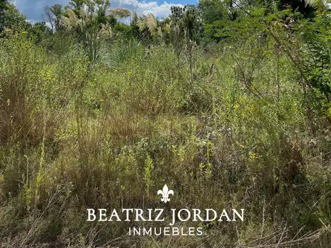 Terreno en Venta de 4200,0 m2