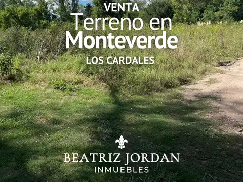 TERRENO EN VENTA, BARRIO MONTEVERDE, LOS CARDALES