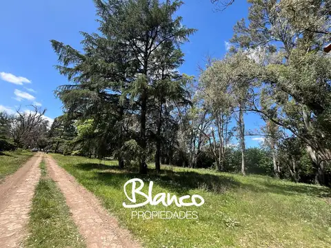 Lisandro de la Torre -