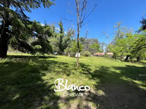 Lisandro de la Torre -