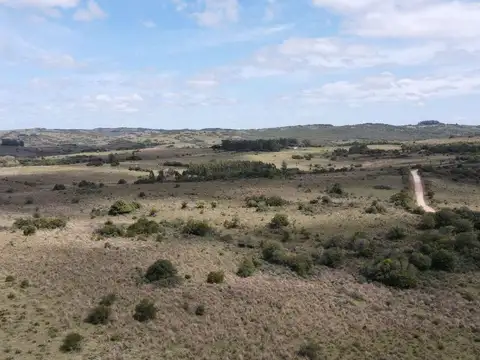 Campo de 50 ha ganadero en Maldonado, Garzon