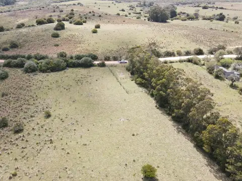 Campo de 50 ha ganadero en Maldonado, Garzon