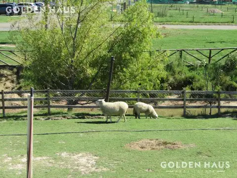 Terreno en Venta 12  mts Frente