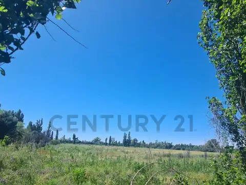 Venta Terreno en Rama Caida- SAN RAFAEL, MENDOZA.