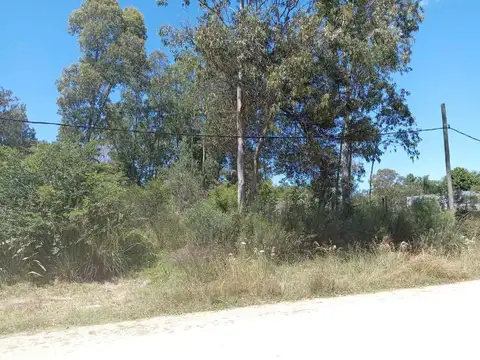 Venta terreno en el Tesoro