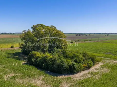 Campo Agricola de 40ha en Azcuenaga