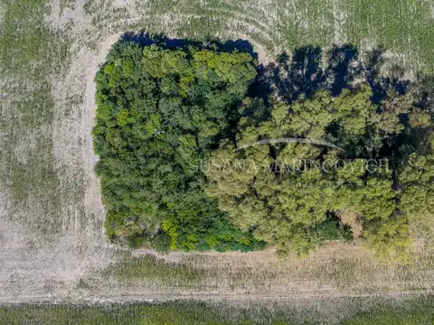 Campo Agricola en Azcuenaga