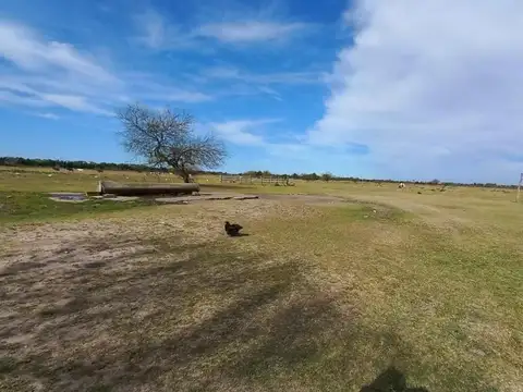 Campo en Venta de 52  ha