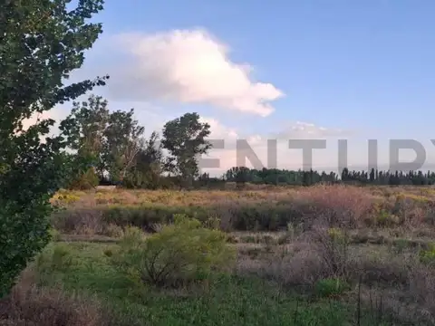 LAS MERCEDES , Piso 0