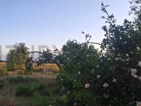 VENTA TERRENO SAN RAFAEL