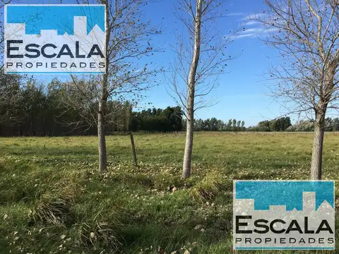 TERRENO FRACCION 19374 M2 FISHERTON NORTE NEWBERY AL 8900
