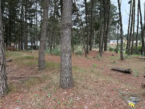 Terreno en Venta de 1000,0 m2