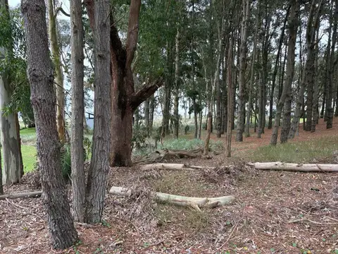 Terreno en Venta 10  mts Frente