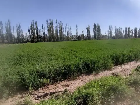 San Esteban S/N