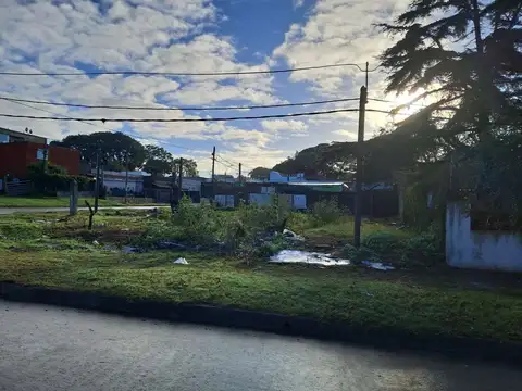 Molinos de la Unión 4000