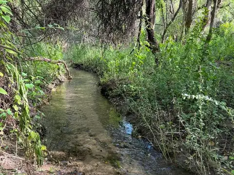 Terreno en Venta de 300000,0 m2