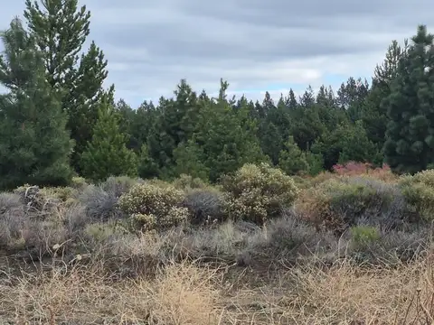 Terreno en Venta en San Carlos de Bariloche, USD 45.000