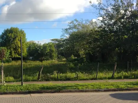 Terreno en venta - 1.248Mts2 - Villa Larroque