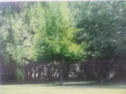 CHASCOMUS LOTES TIPO QUINTAS CERCANOS RUTA 2 LOTEO "LAS GRULLAS"