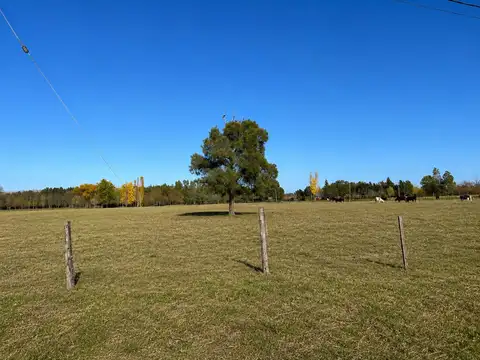 TERRENO EN VENTA LAGUNA DE LOBOS, UBICACION IDEAL