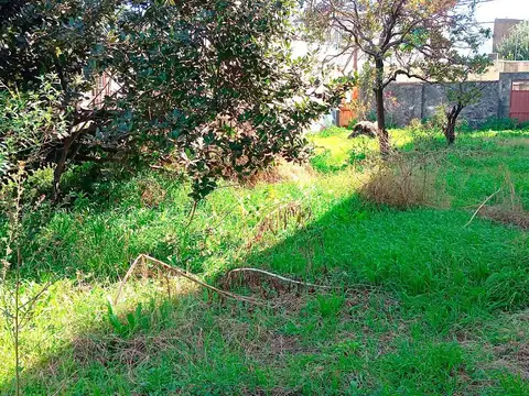 Terreno en Venta de 241,0 m2