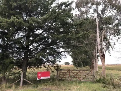 Chacra en venta - 642.074mts2 - Magdalena